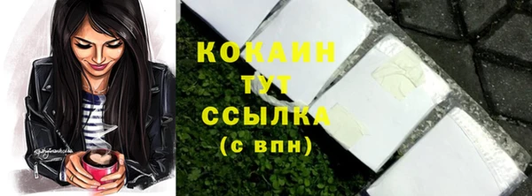 твердый Абаза