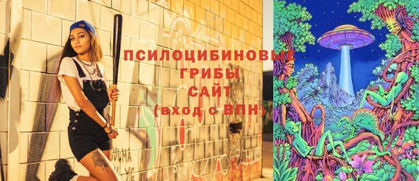 твердый Абаза