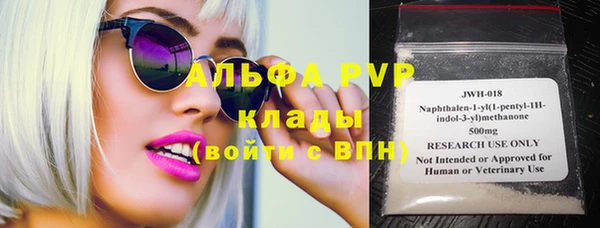 крисы Алзамай