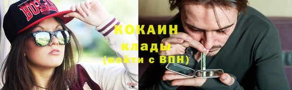 дживик Алексин