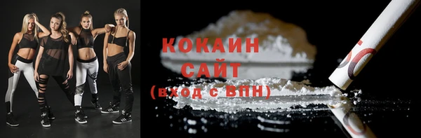 крисы Алзамай