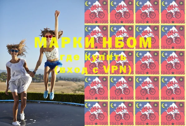 крисы Алзамай
