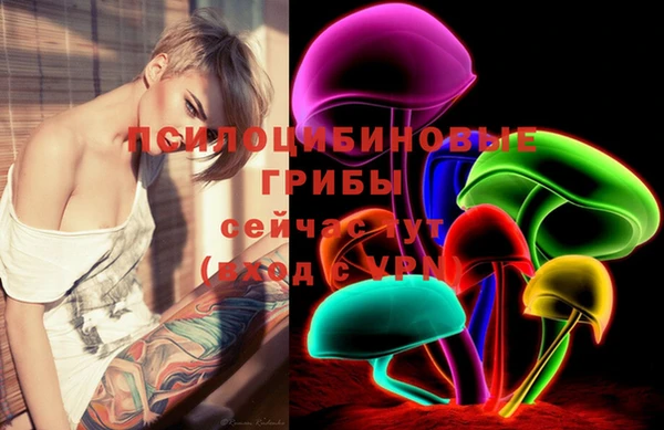 дживик Алексин