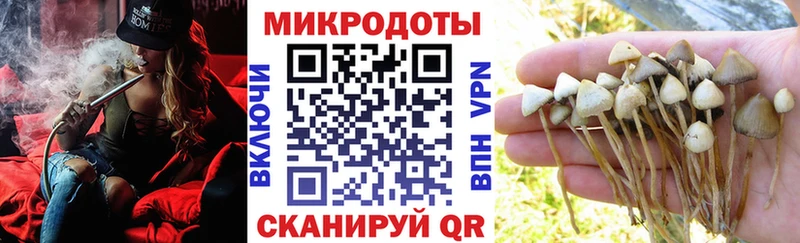 мега ТОР  Удомля  Галлюциногенные грибы ЛСД  закладка 