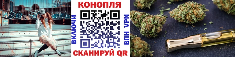 Бошки марихуана сатива  как найти закладки  Удомля 